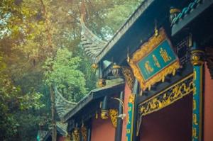 旅游博主在青城山学猴哥打卡 旅游博主在青城山学猴哥打卡